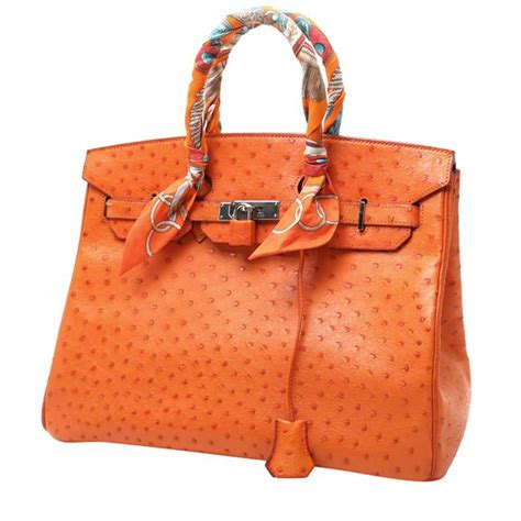 birkin hermes struzzo prezzo|Borsa Birkin di Hermès .